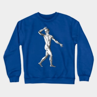 Vintage Human Anatomy Science, Muscles of the Male Body Crewneck Sweatshirt